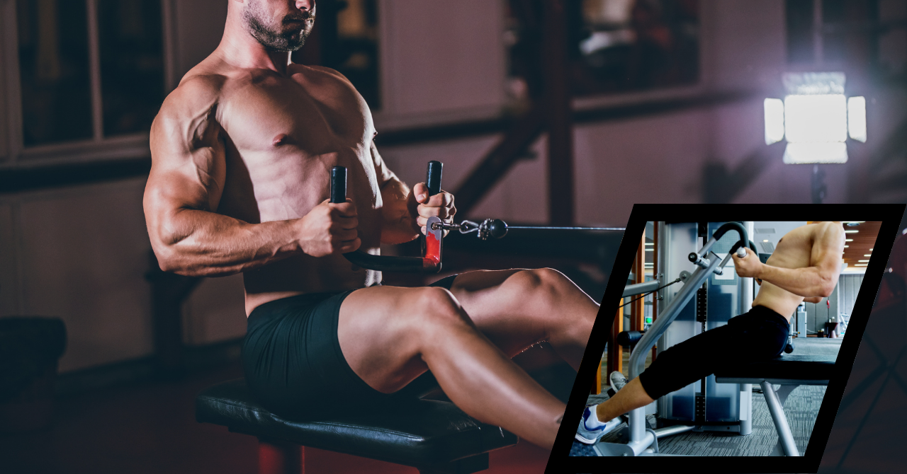 シーテッドローイメージ