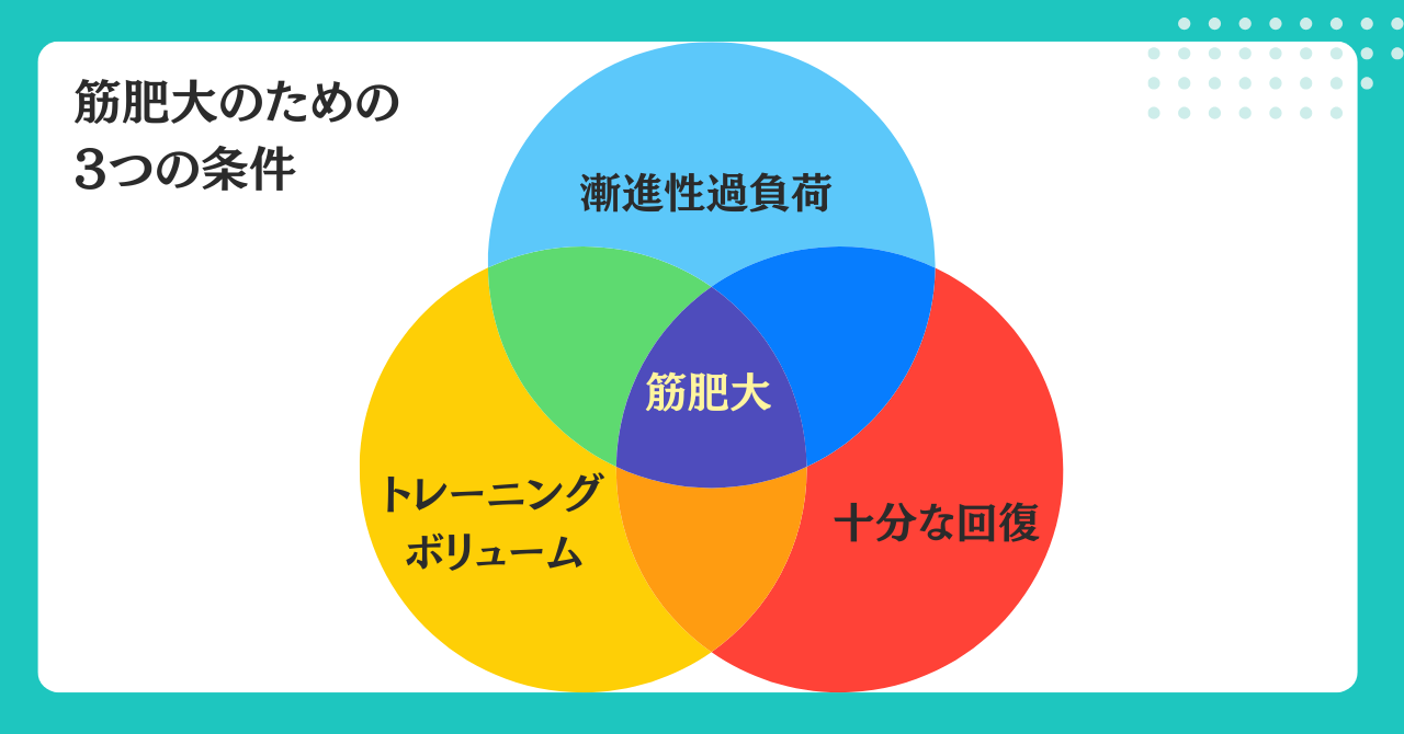 筋肥大の3条件の図解